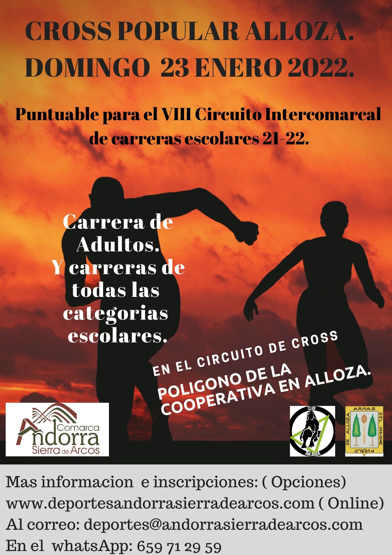 cartel Cross Alloza comarcal 2022